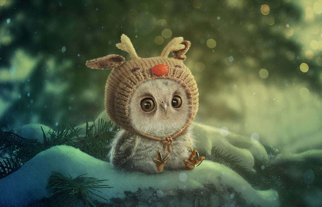 A Sweet and Cute Owl
