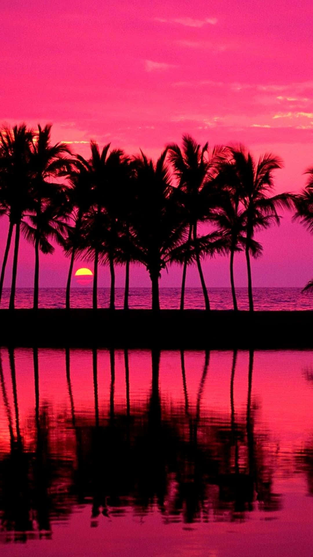 Et smukt og livligt palmtræ, der står højt i en malerisk strandindstilling. Wallpaper