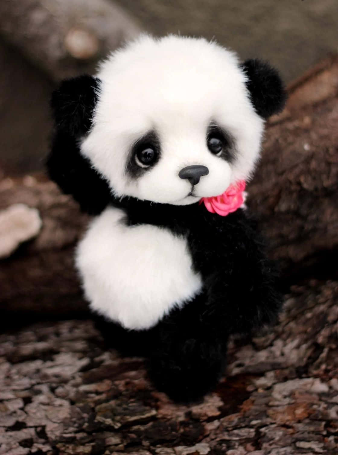 Enskojig Liten Panda Som Leker I En Trädgård Av Blommor.
