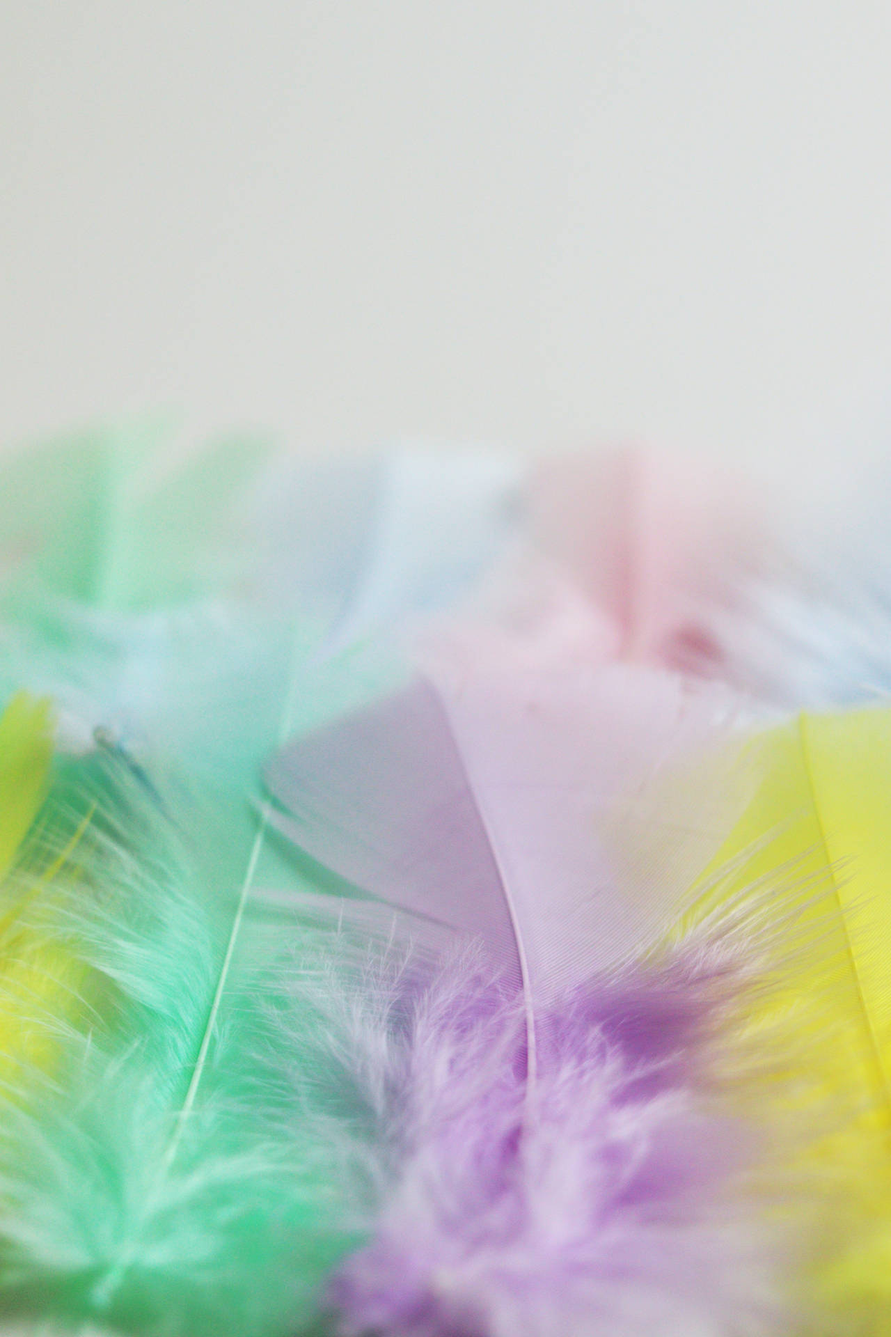 Cute Pastel Aesthetic Multicolored Feathers