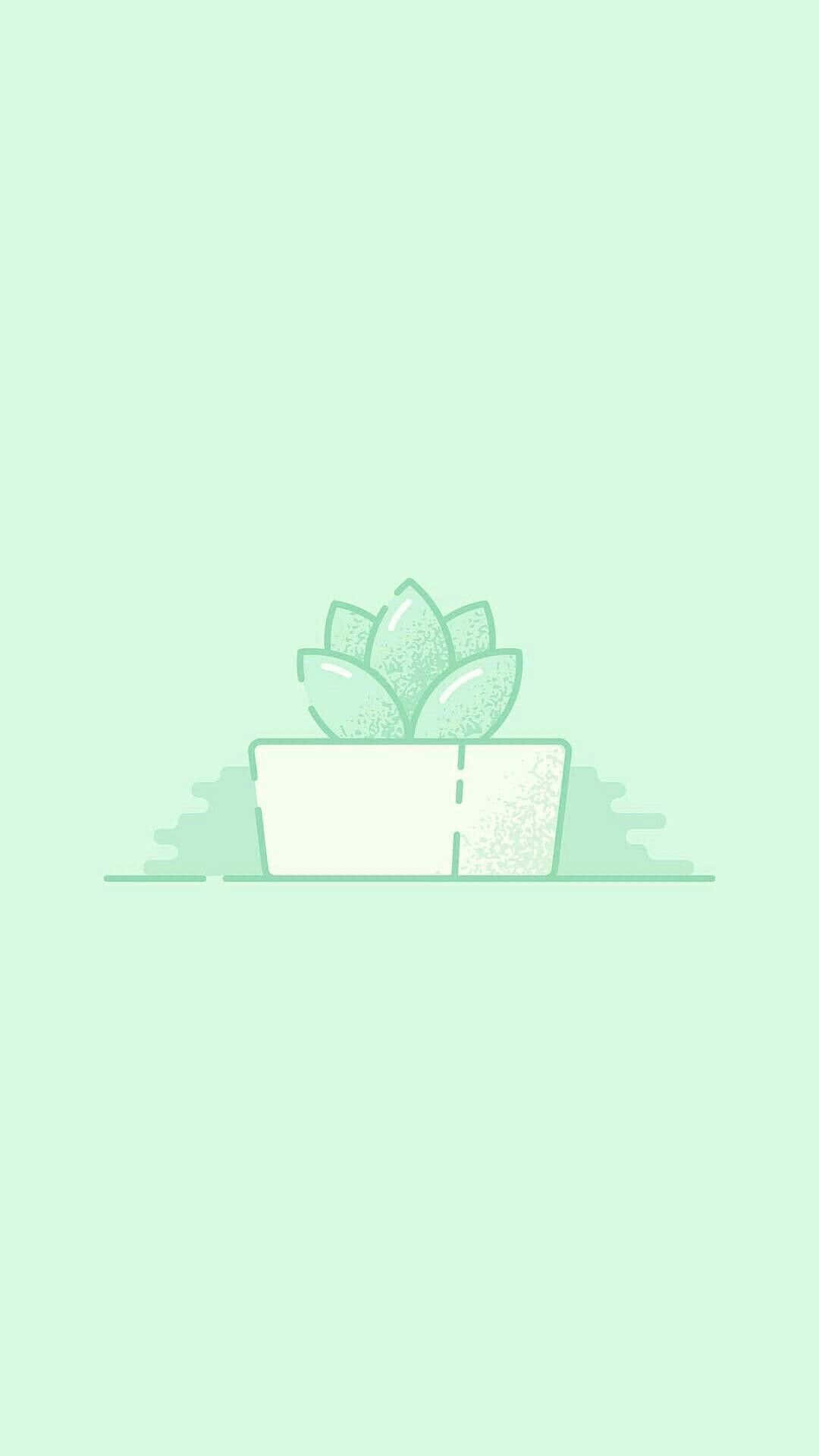 Cute Pastel Green Succulent Plant Wallpaper
