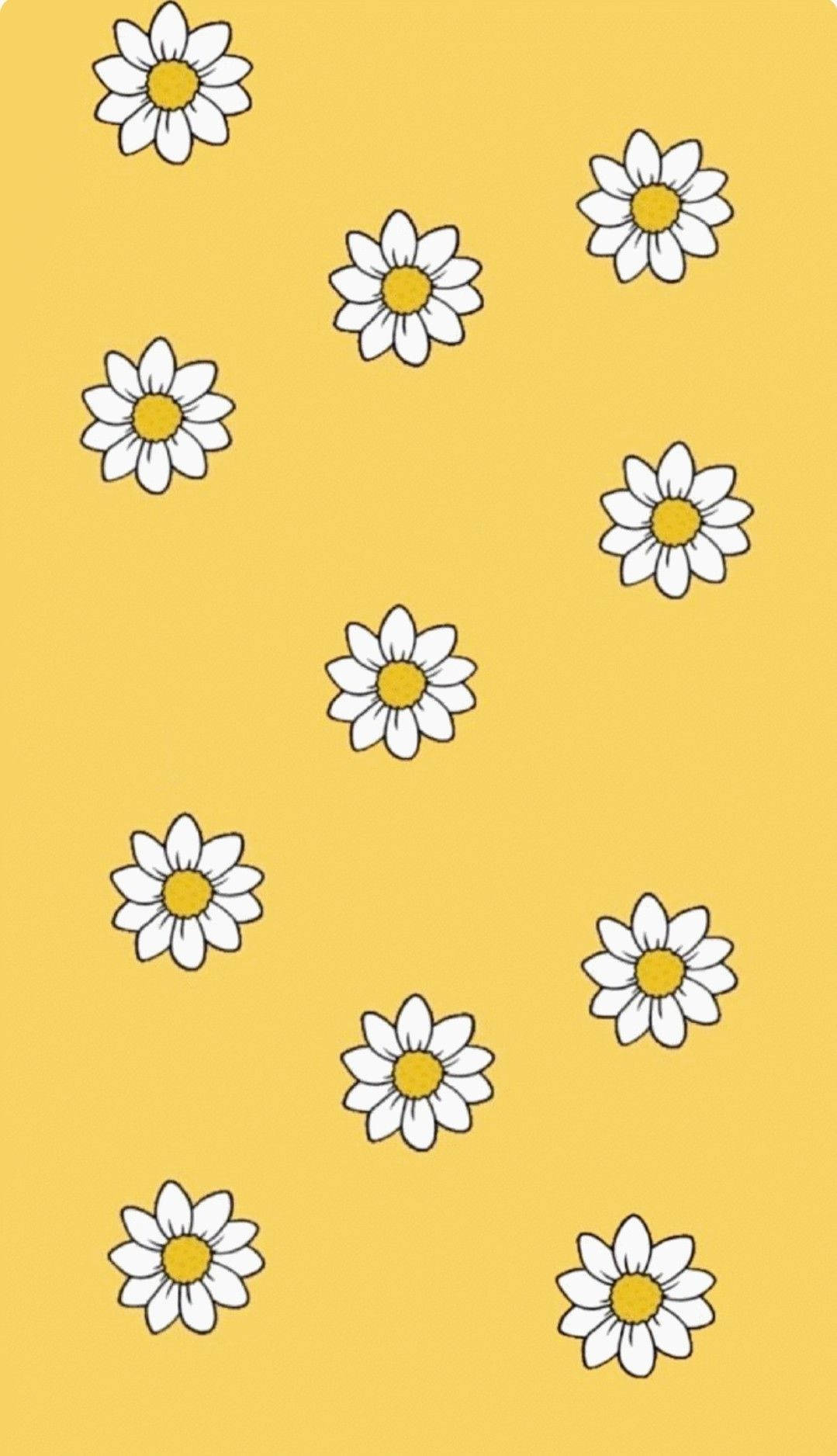 Cute Pastel Yellow Aesthetic Daisy Wallpaper