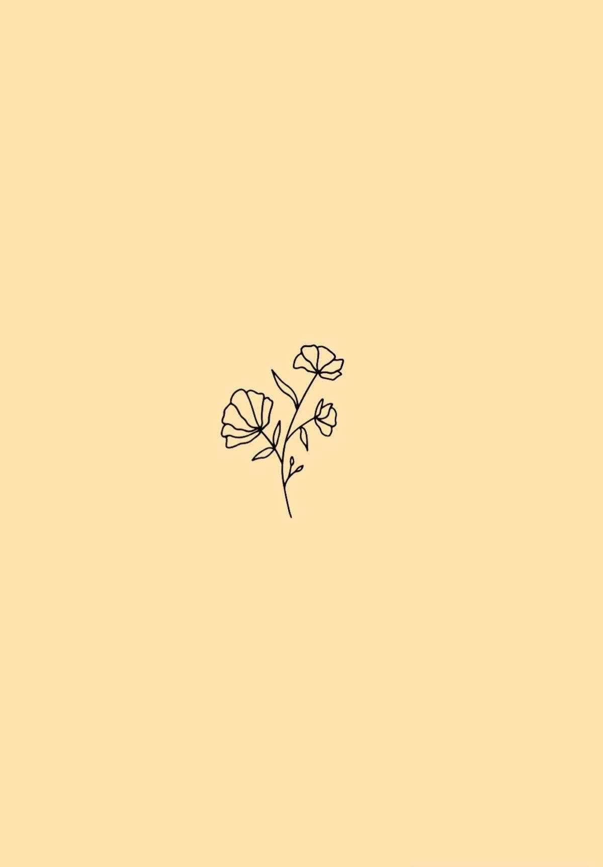 Download Cute Pastel Yellow Aesthetic Flower Wallpaper 