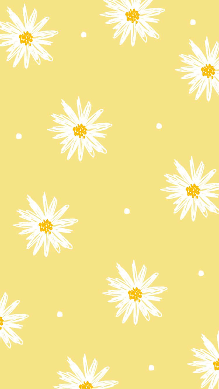 Download Cute Pastel Yellow Daisy Flower Wallpaper 