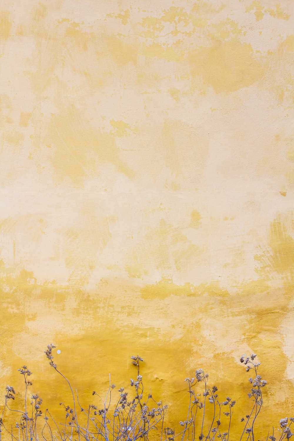 Cute Pastel Yellow Faded Wall Wallpaper