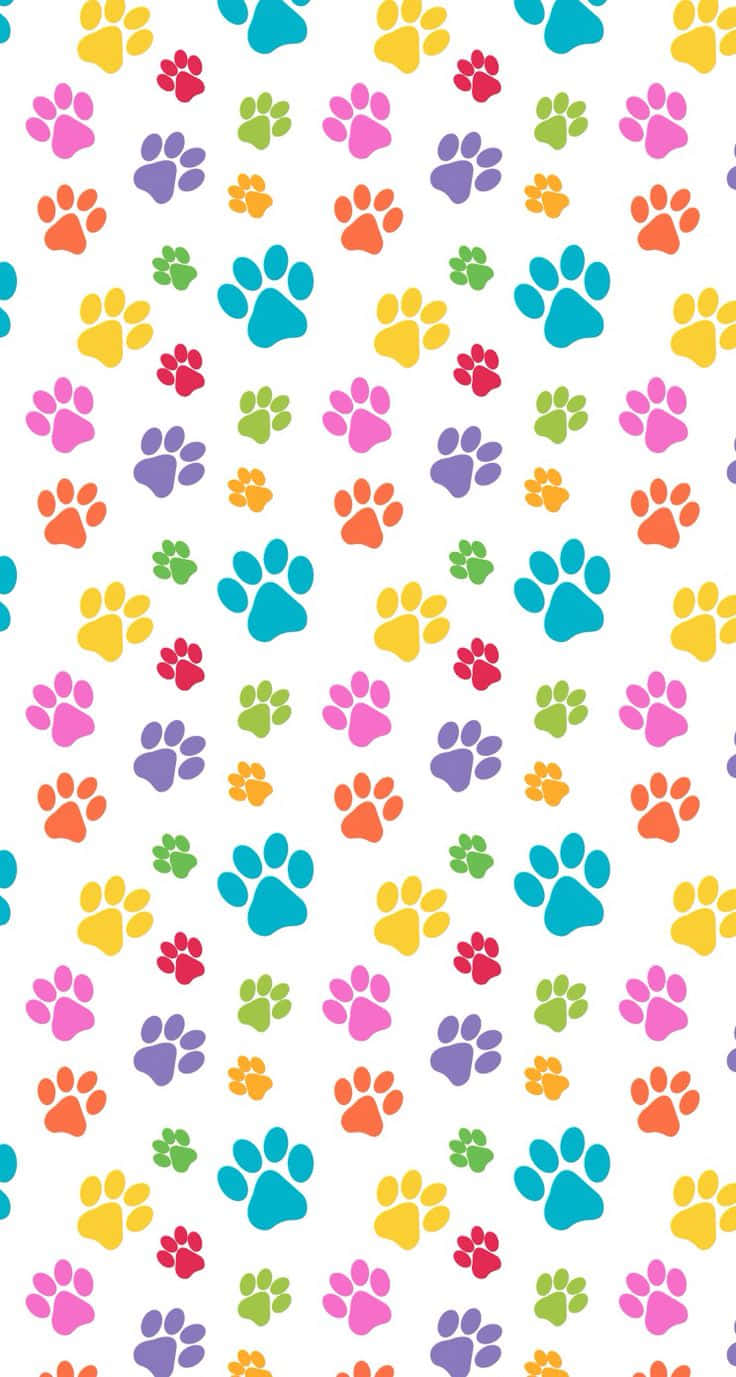 Cute Colorful Paw Prints Pattern Wallpaper