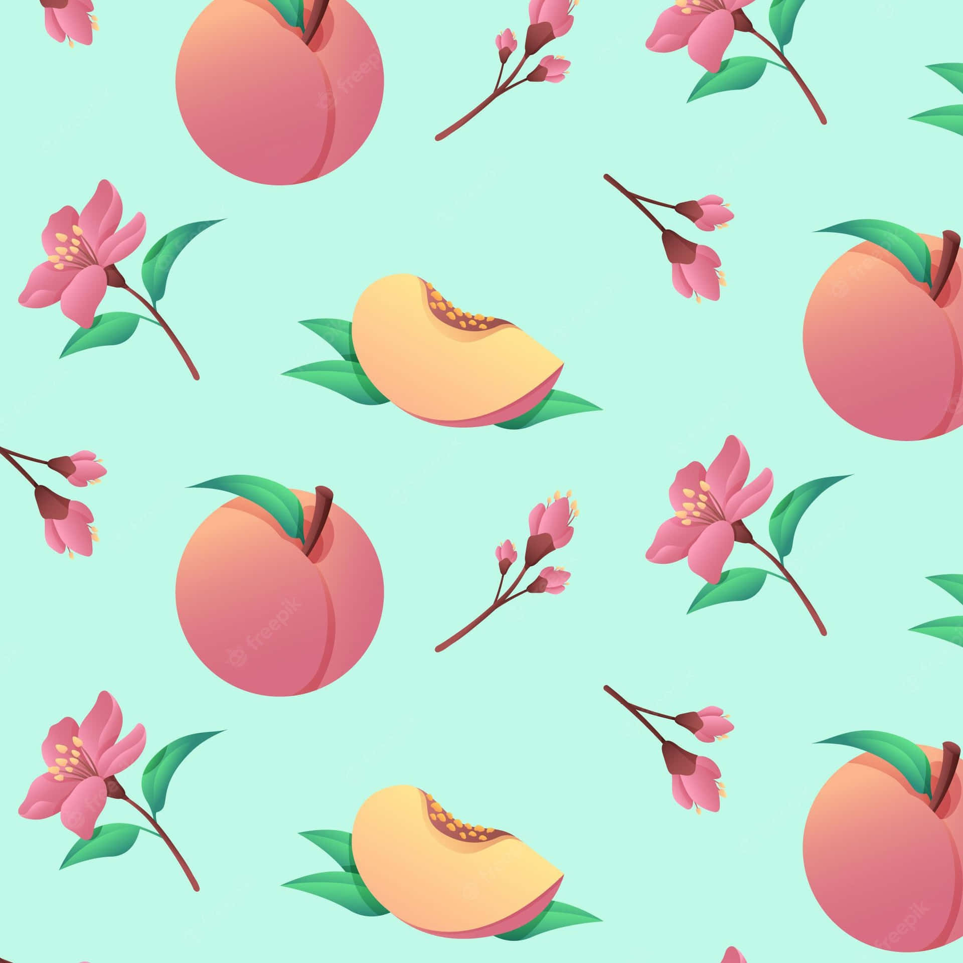 Soft and Succulent Cute Peach Wallpaper