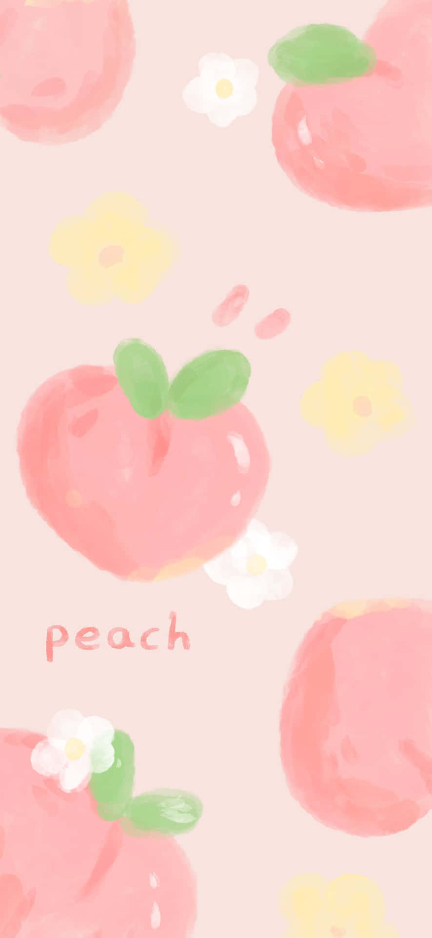 Peach wallpaper  Tasarım web siteleri Çizim Arkaplan tasarımları