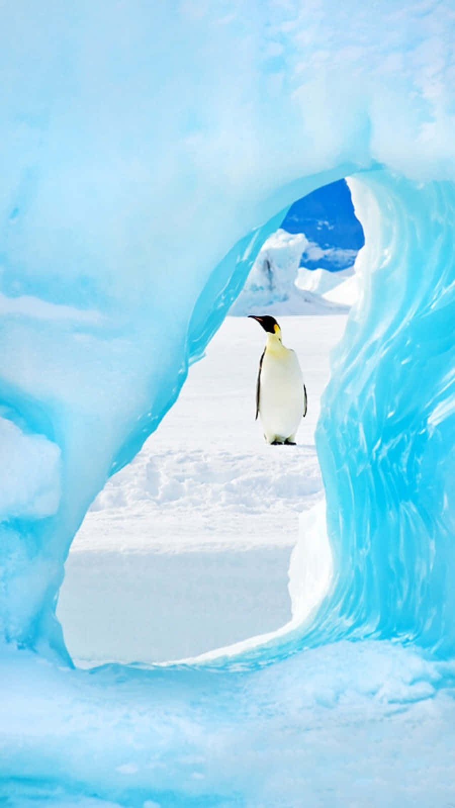 Lindaimagen De Un Pingüino En La Nieve Del Glaciar.