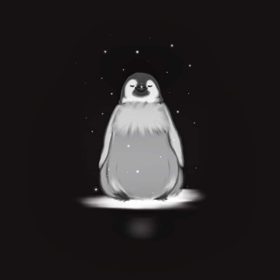Cute Penguin Pictures 900 X 900 Picture