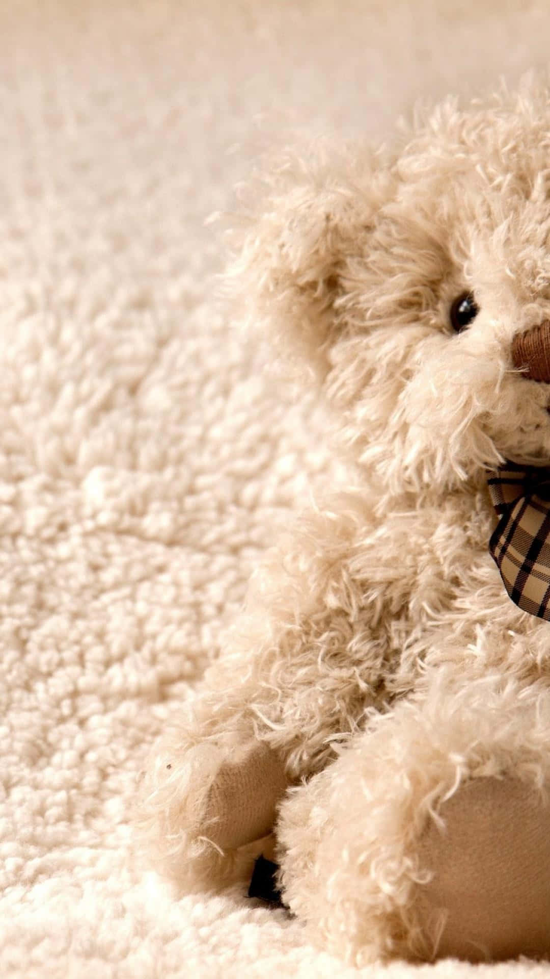 A Teddy Bear Sitting On A White Carpet