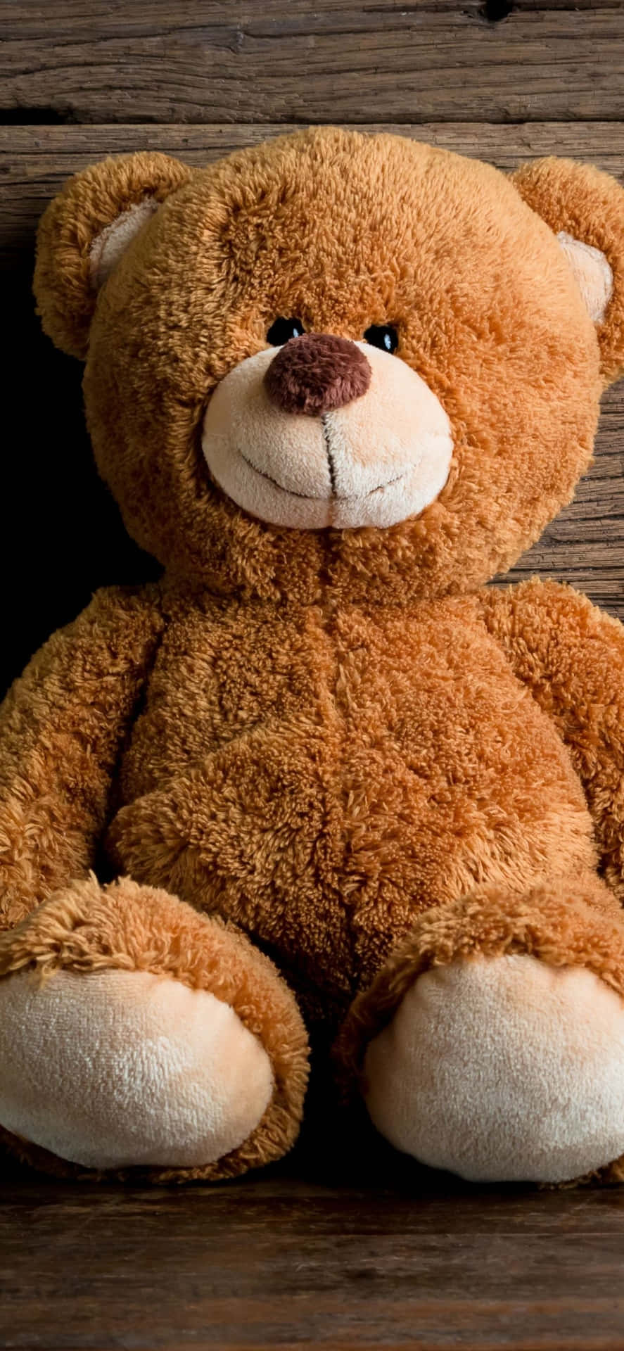 A Brown Teddy Bear Sitting On A Wooden Surface