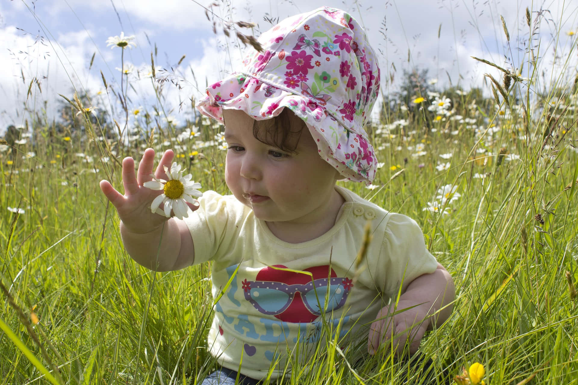 Cute Photo Of A Baby Girl In A Grass Field Touching A Tangible Flower Wallpaper