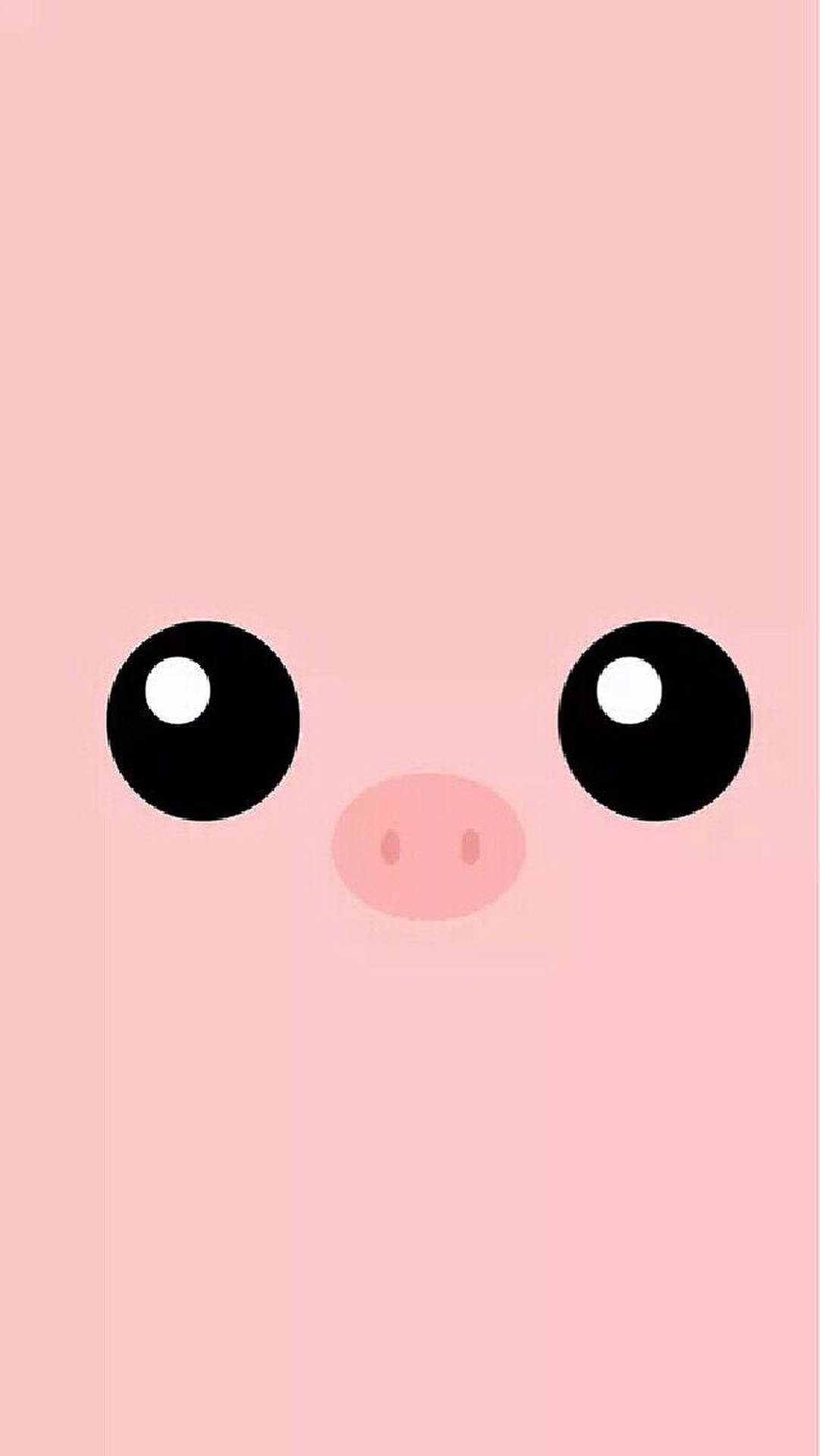 Cute Pig Eyes And Nose Background