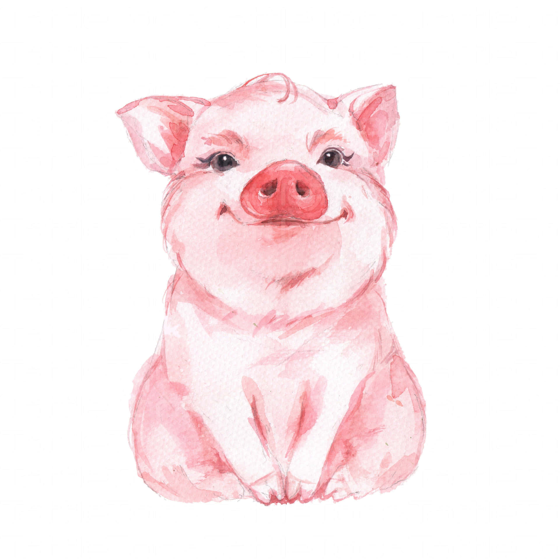 This Adorable Piggy is Ready for Cuddles