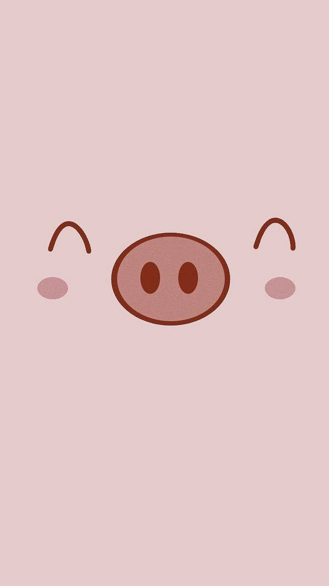 Cute Pig Smiling Background