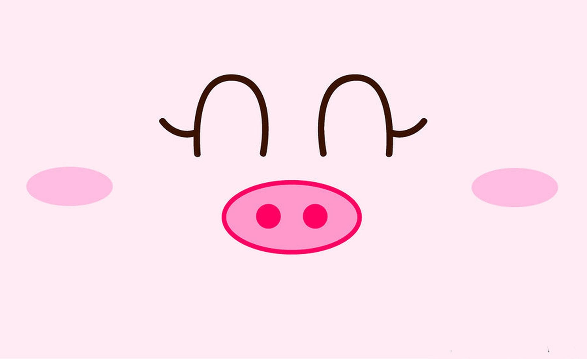 Cute Pig Snout Background