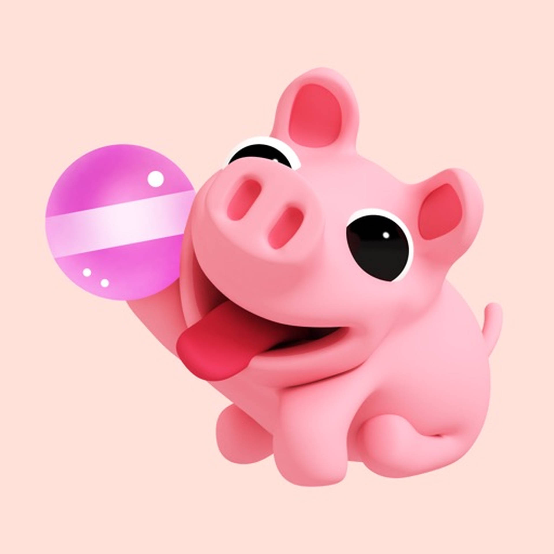 Cute Pig The Rosa Background