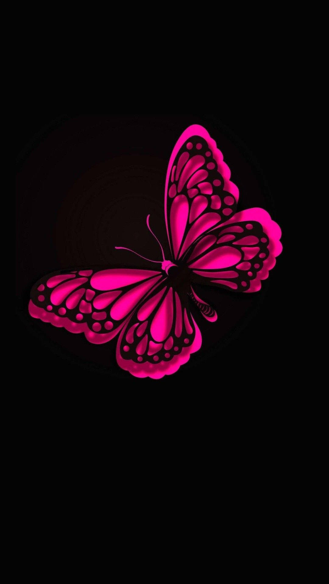 Cute Pink Butterfly On Pitch Black Background Wallpaper