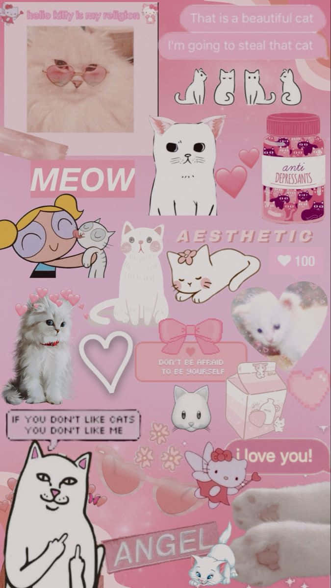 Cute Pink Cat Collage Wallpaper