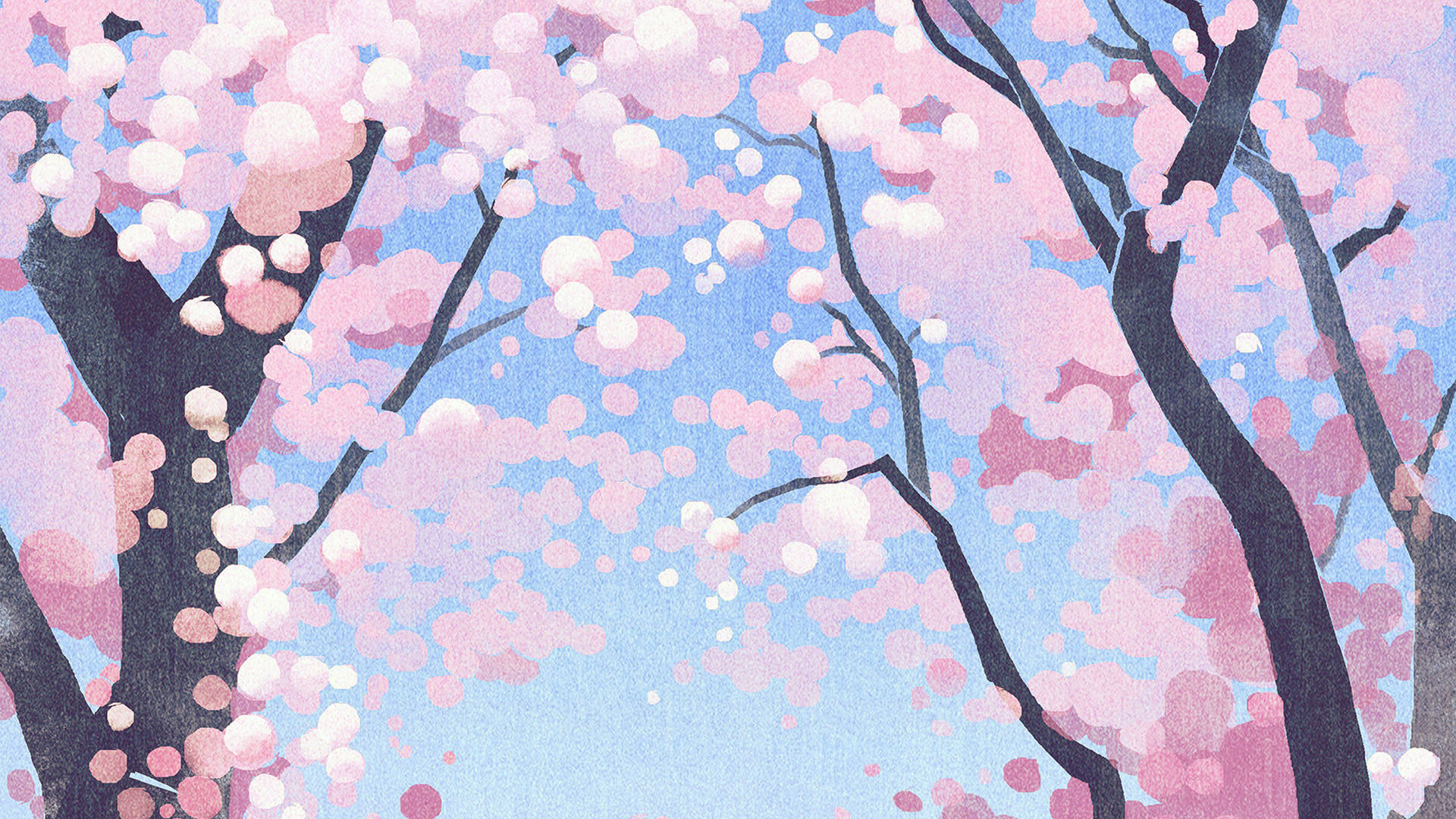 Cute Pink Cherry Blossoms Background
