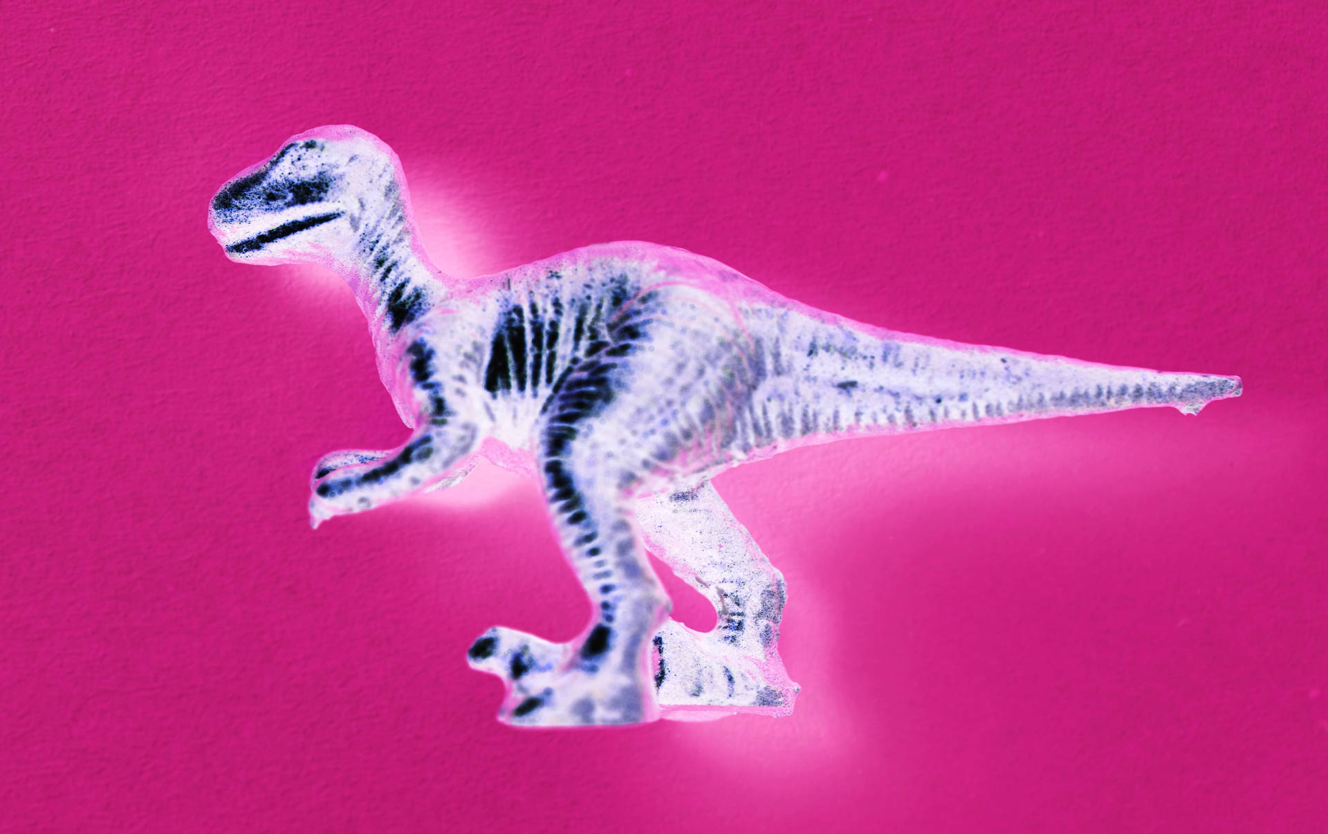 Cute Pink Dinosaur X-ray Background