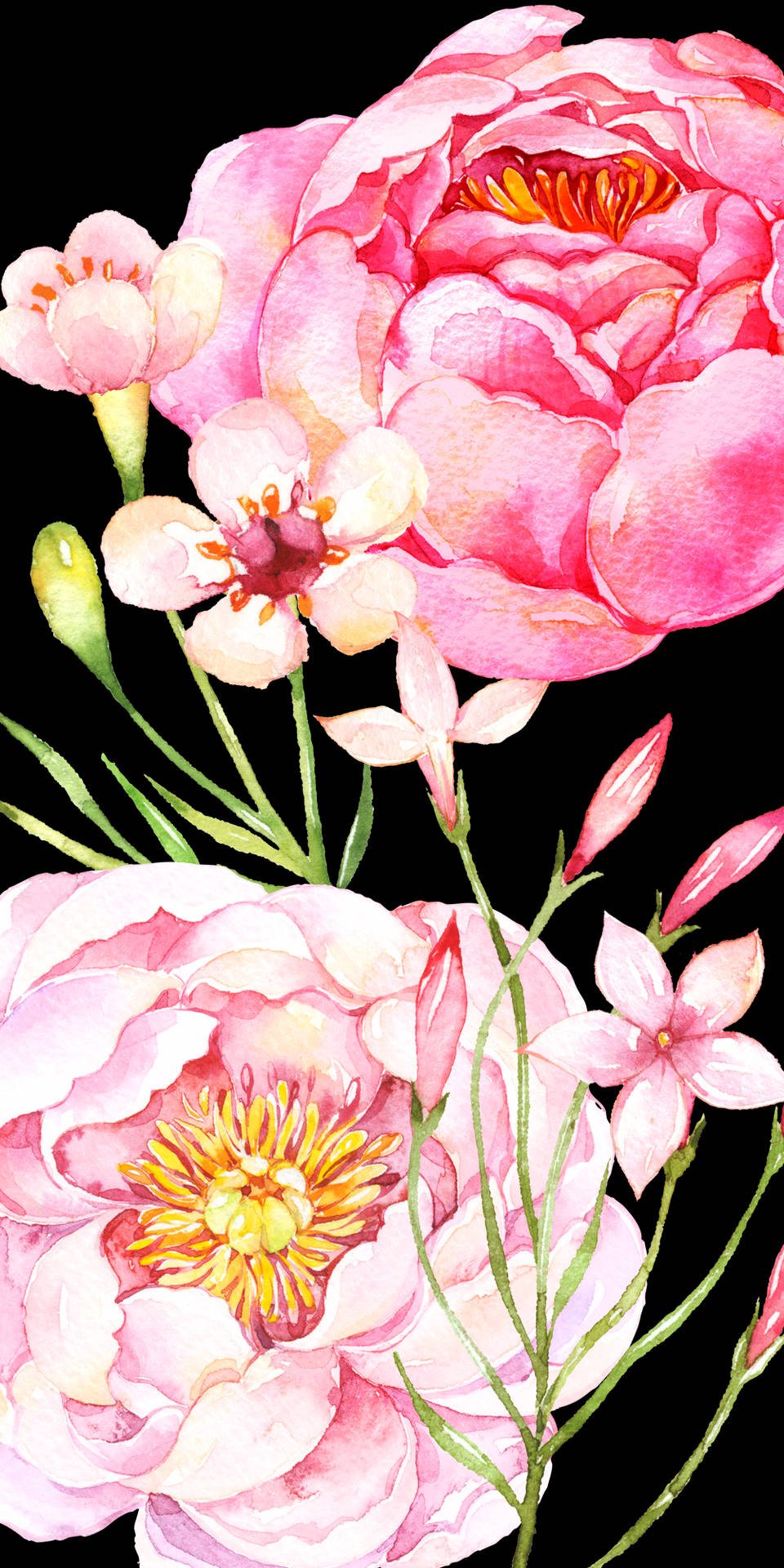 Cute Pink Flower Blooms Painting