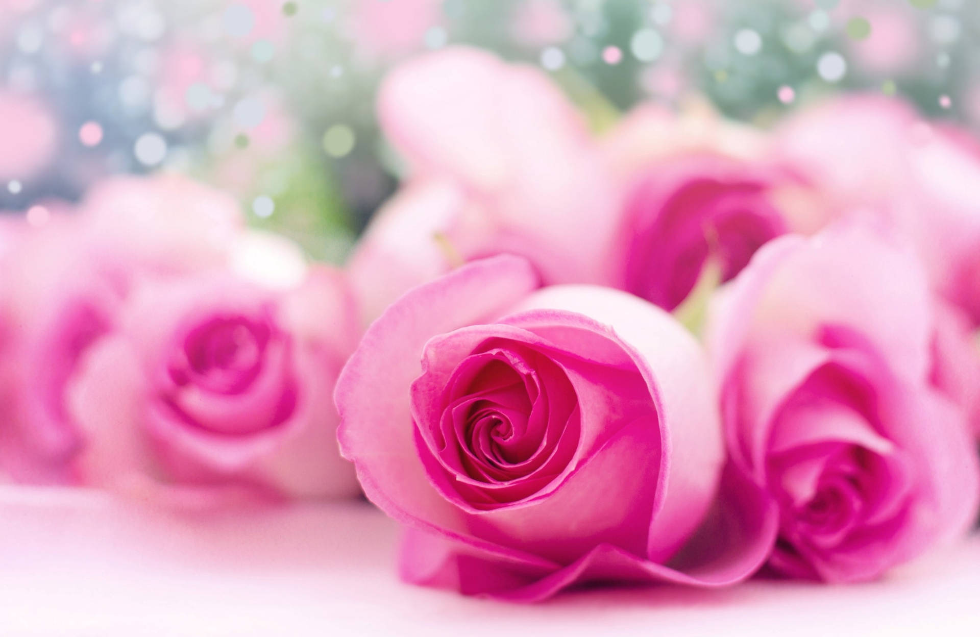 Cute Pink Roses Background