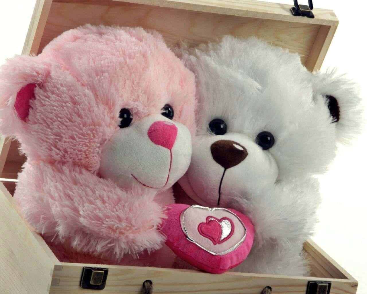 Cute Pink Teddy Bear Box Wallpaper