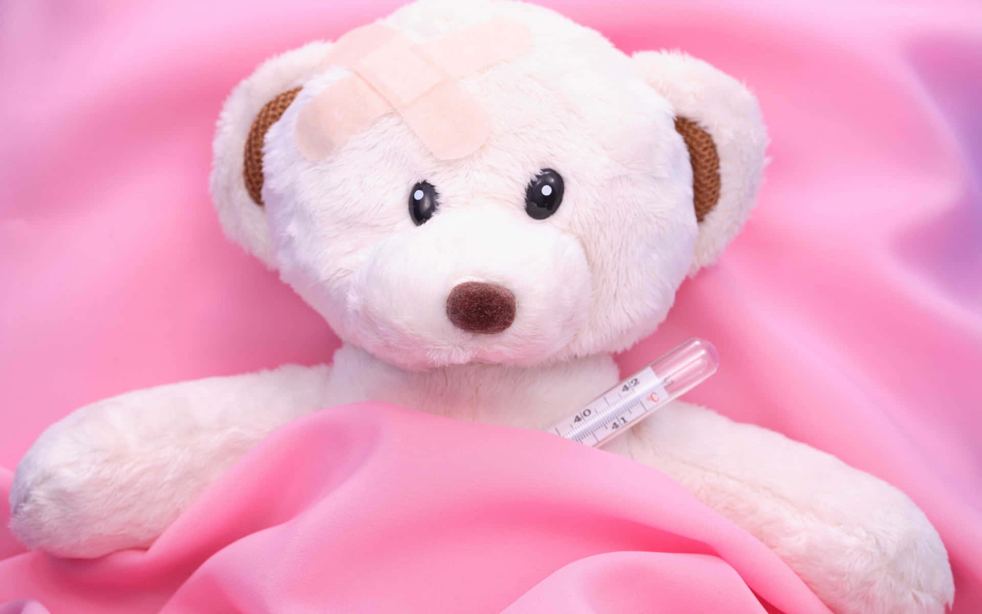 Cute Pink Teddy Bear Sad Valentine's Day Wallpaper