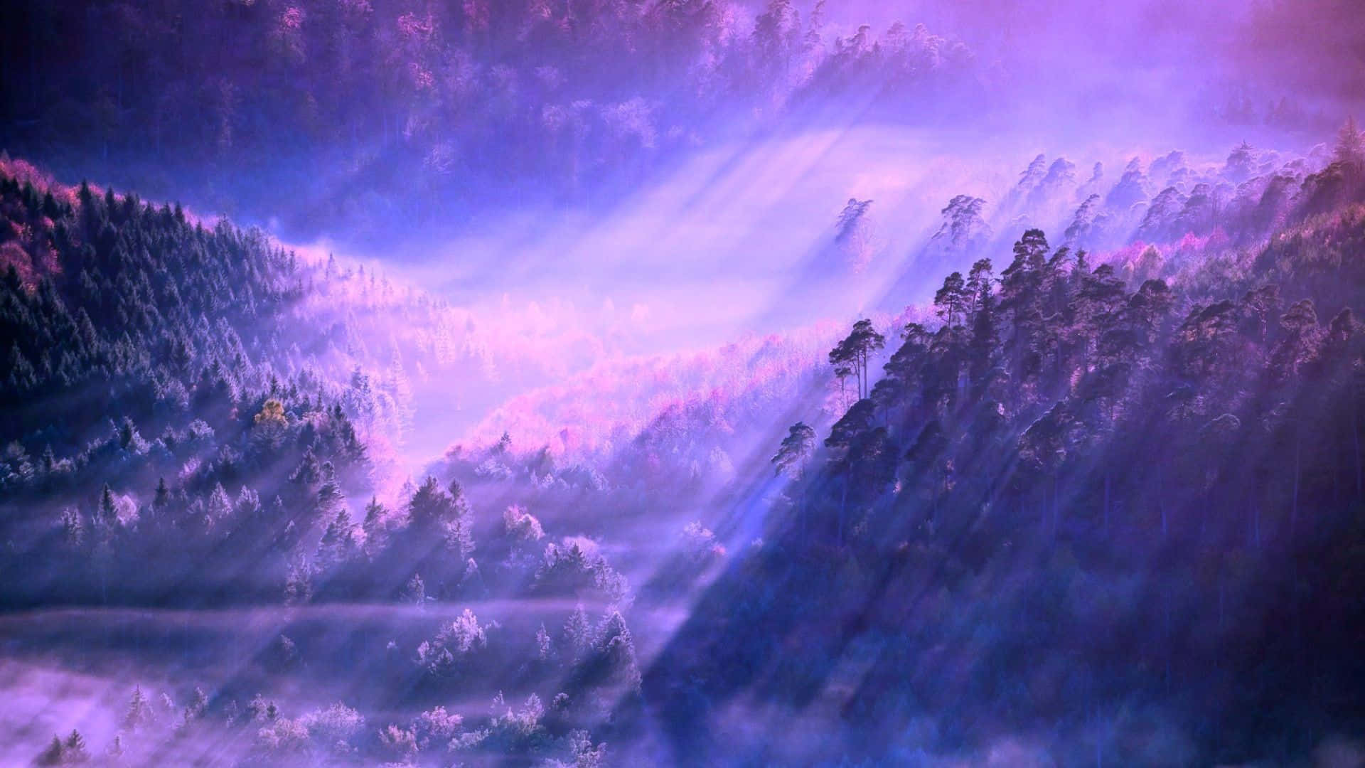 A Purple Sky With Purple Trees And Rays Of Light Wallpaper