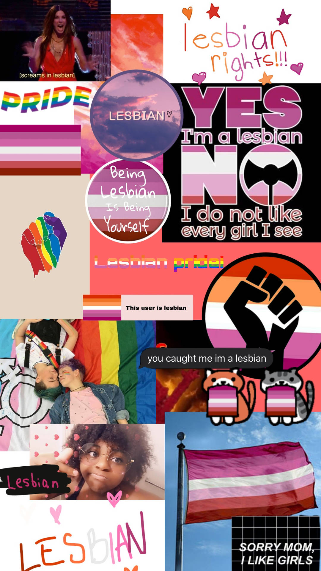 Cute Pride Lesbian Photo Collage Art Wallpaper