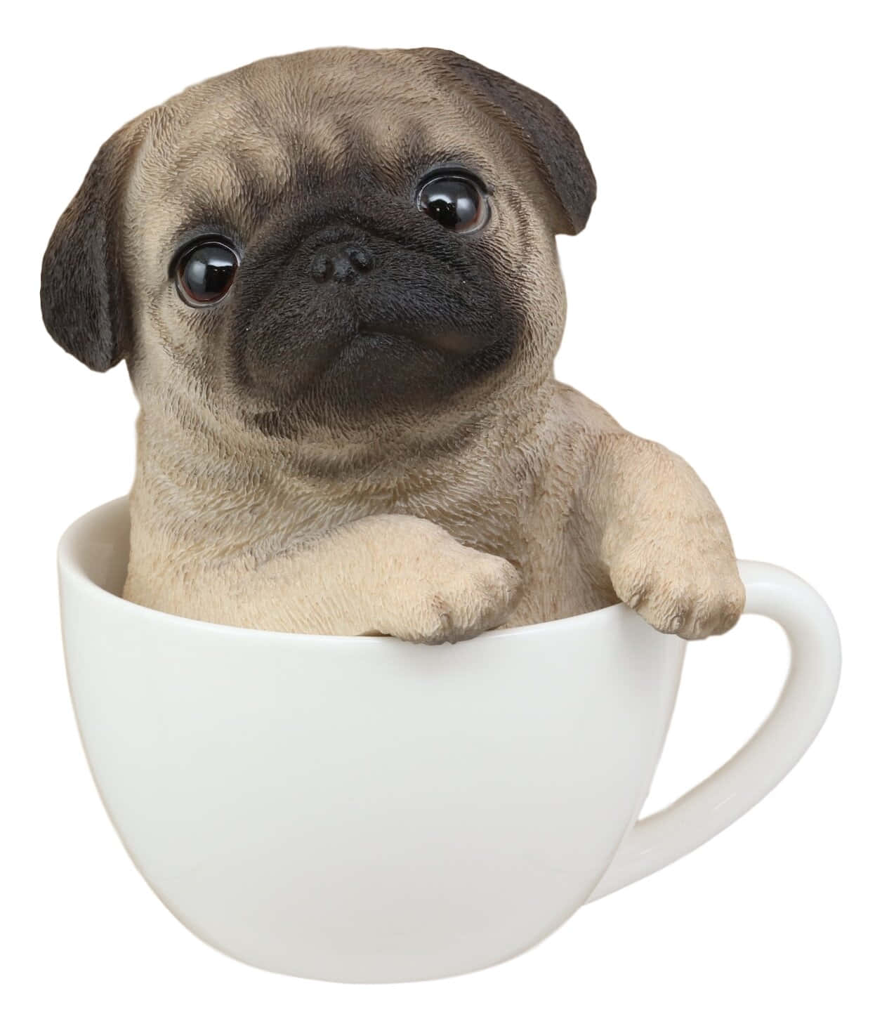 Cute Pug Inside A Cup Picture
