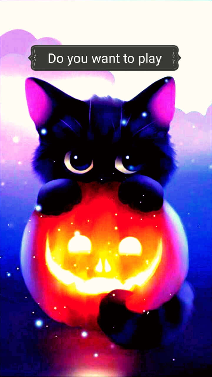 Download Cute Pumpkin Iphone Black Cat Wallpaper | Wallpapers.com