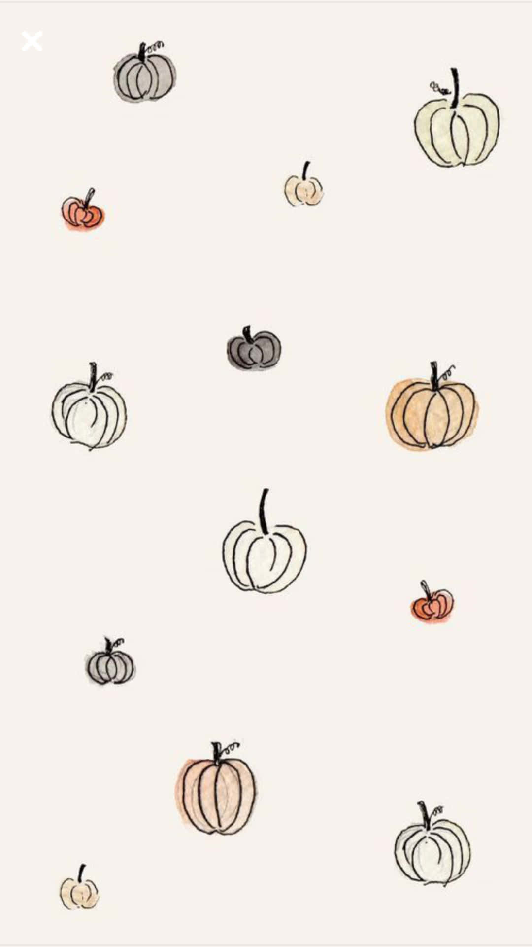 Download Cute Pumpkin Iphone White Wallpaper | Wallpapers.com