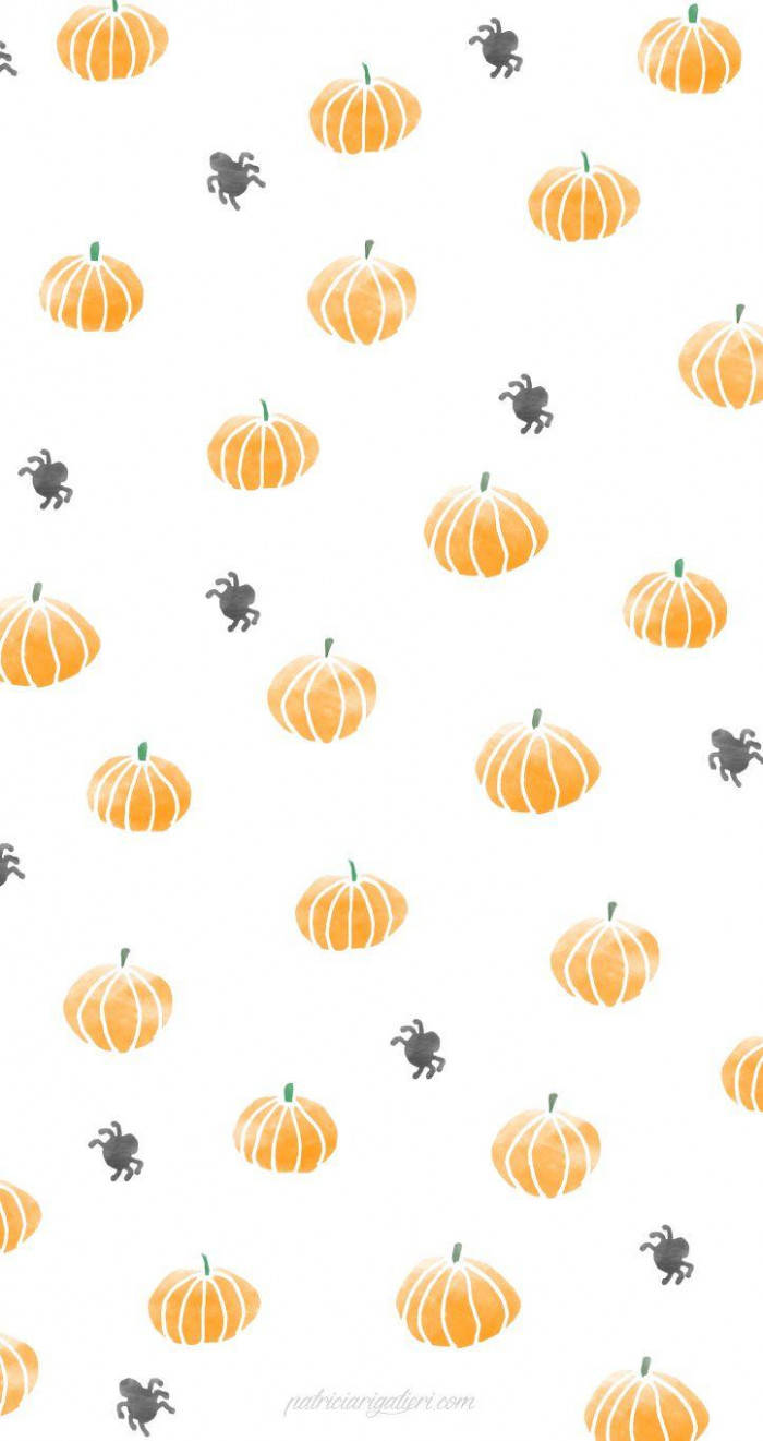 Cute Pumpkins And Spiders Fall Halloween Wallpaper
