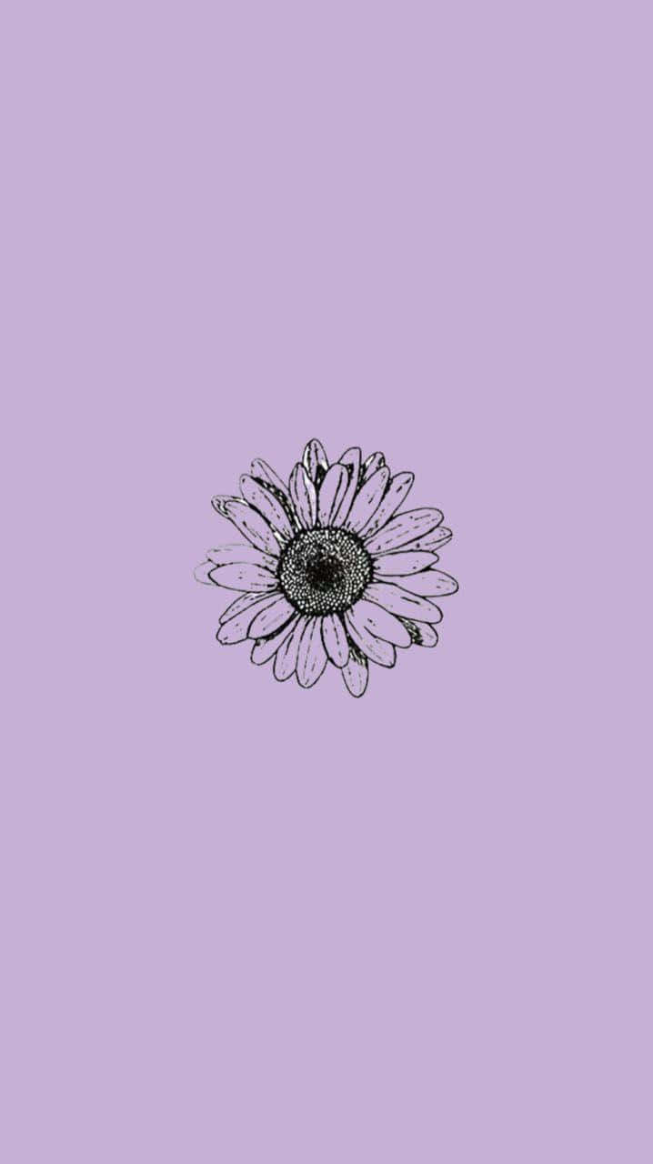 Premium Photo  Sunflower on a purple background