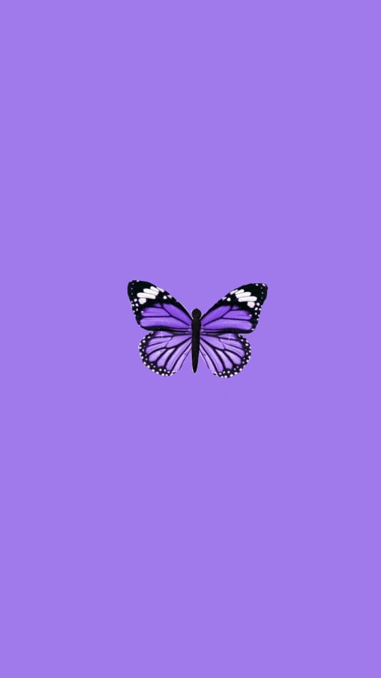 A Cute Purple Butterfly Sunning In The Meadow Wallpaper