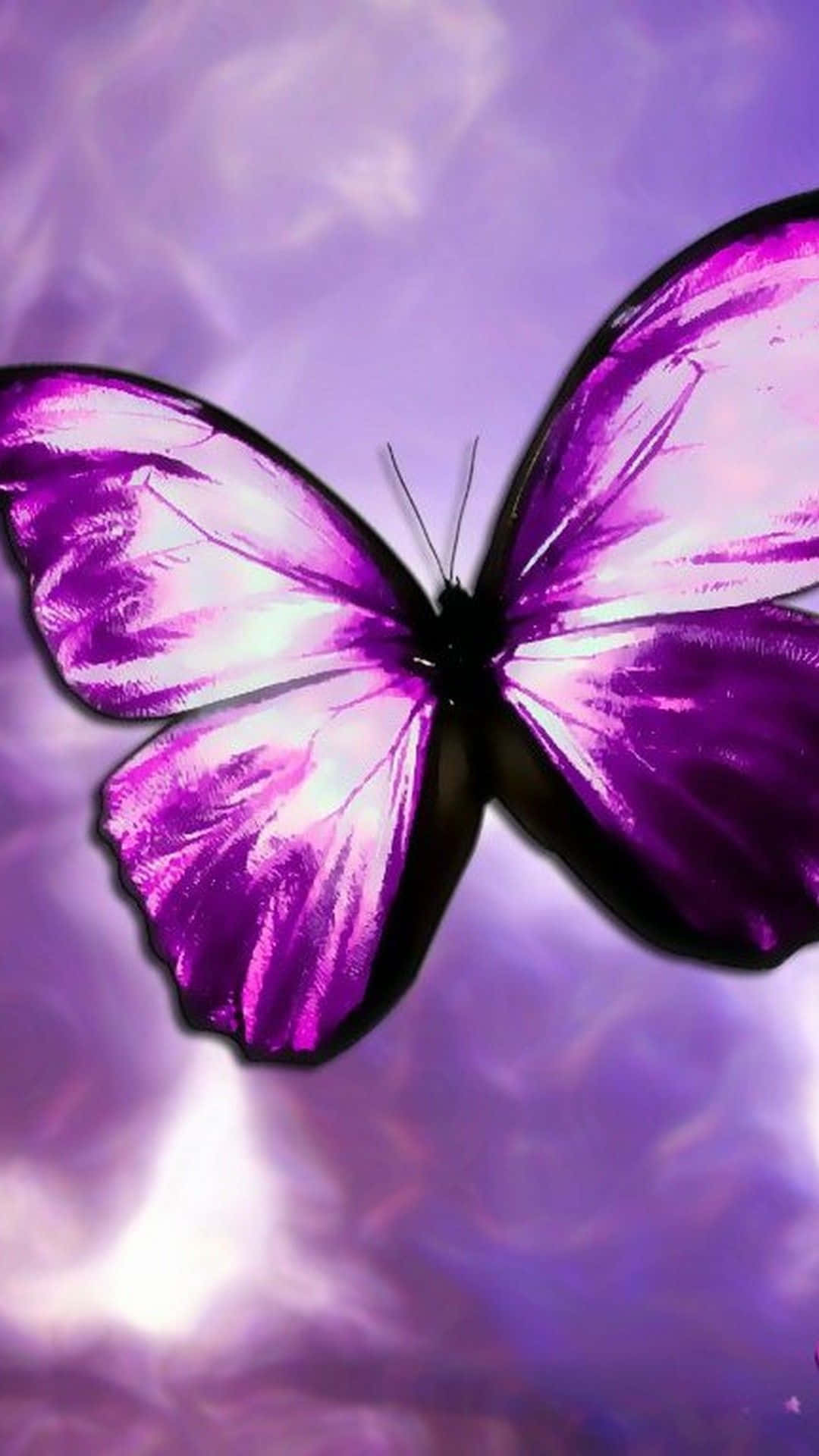 A Beautiful And Colorful Purple Butterfly Wallpaper