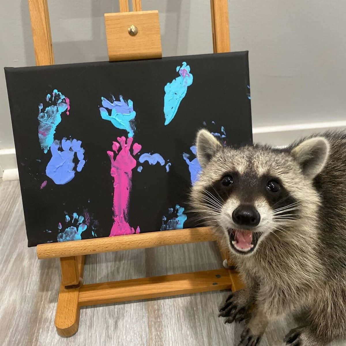 Amazed Cute Raccoon Paint Picture
