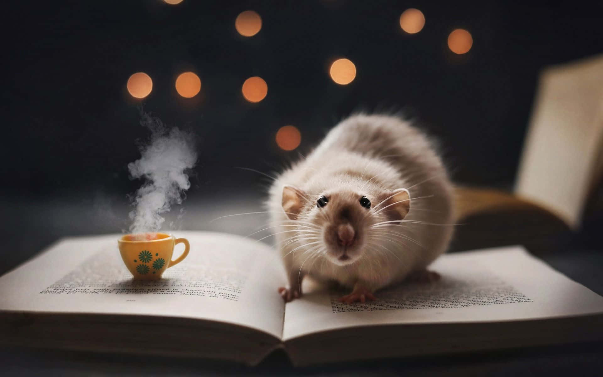 Cute Rat In Book With Coffee Picture