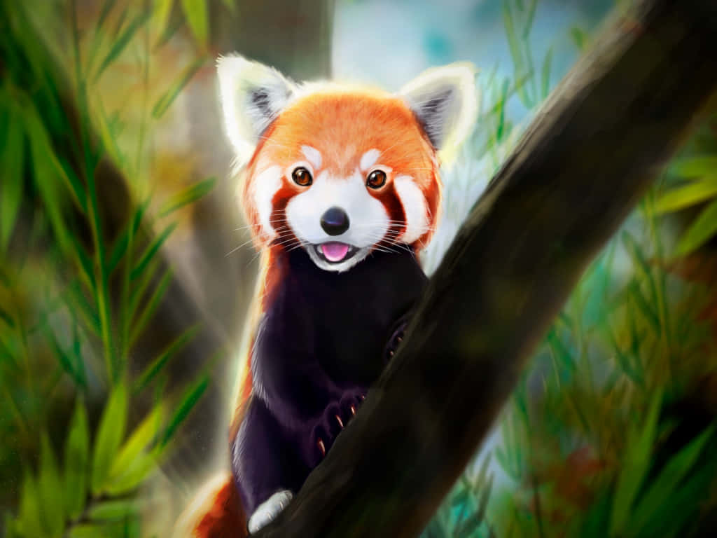 An Adorable Red Panda Wallpaper