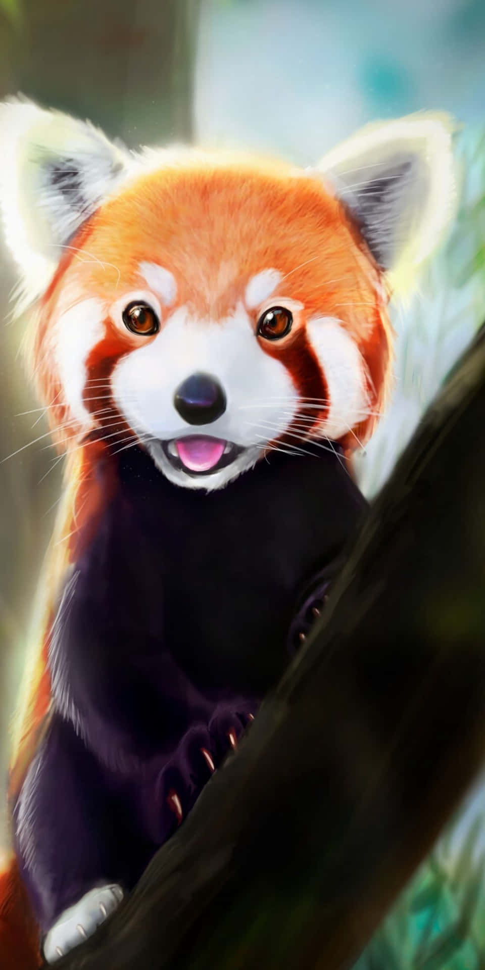 Siehdir Diesen Bezaubernden Niedlichen Roten Panda An! Wallpaper