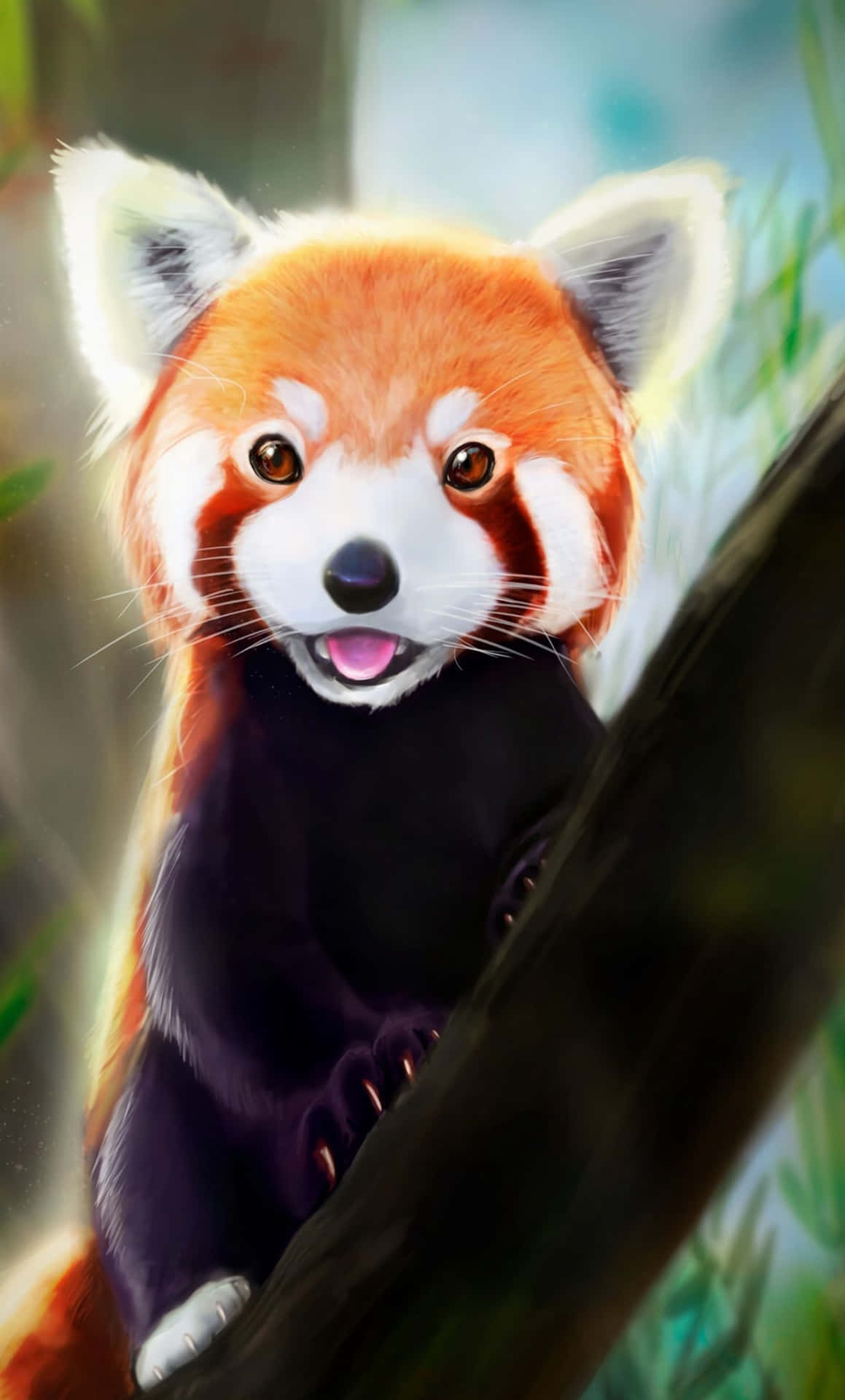 Cute Red Panda Pictures 1280 X 2120 Picture