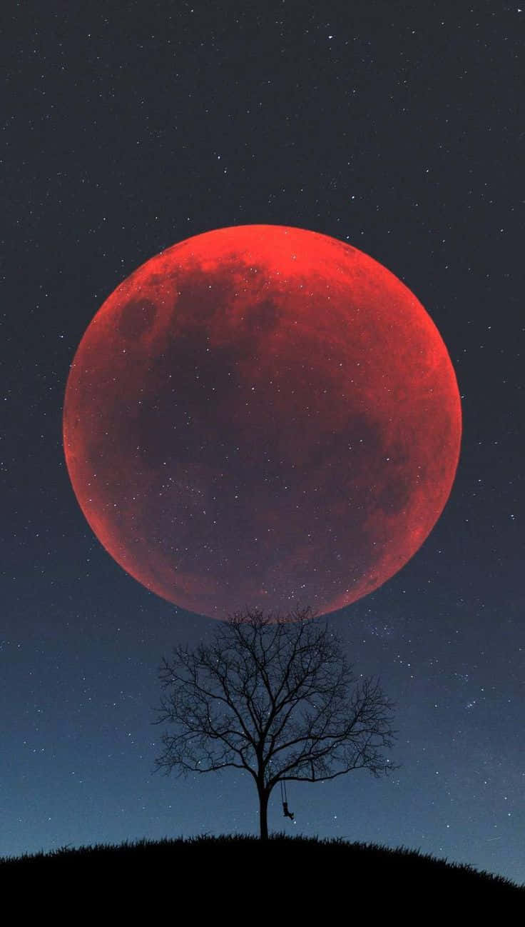 Unaluna Di Sangue Rossa Si Vede Sopra Un Albero. Sfondo