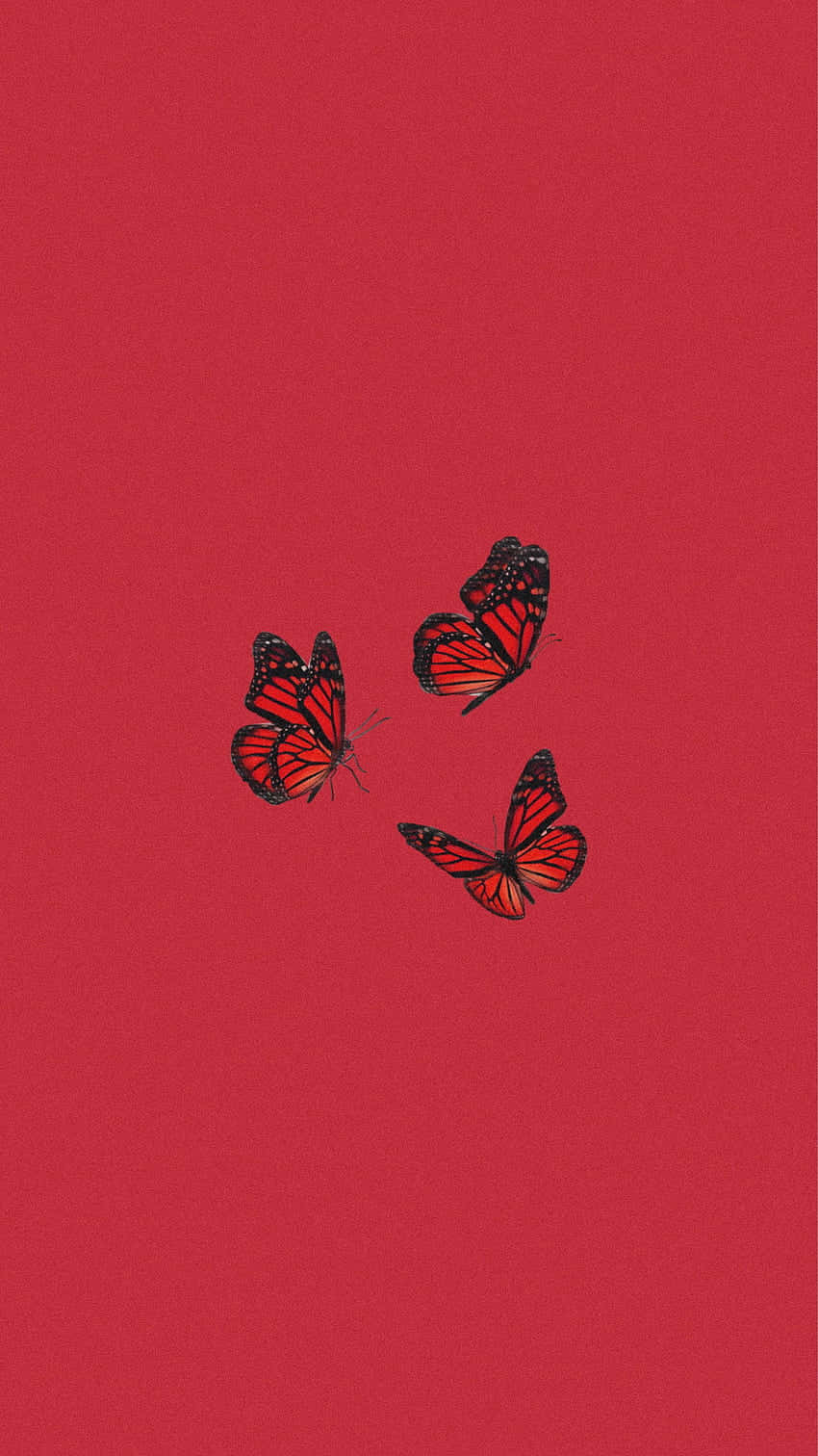 Einroter Hintergrund Mit Drei Schmetterlingen Darauf. Wallpaper