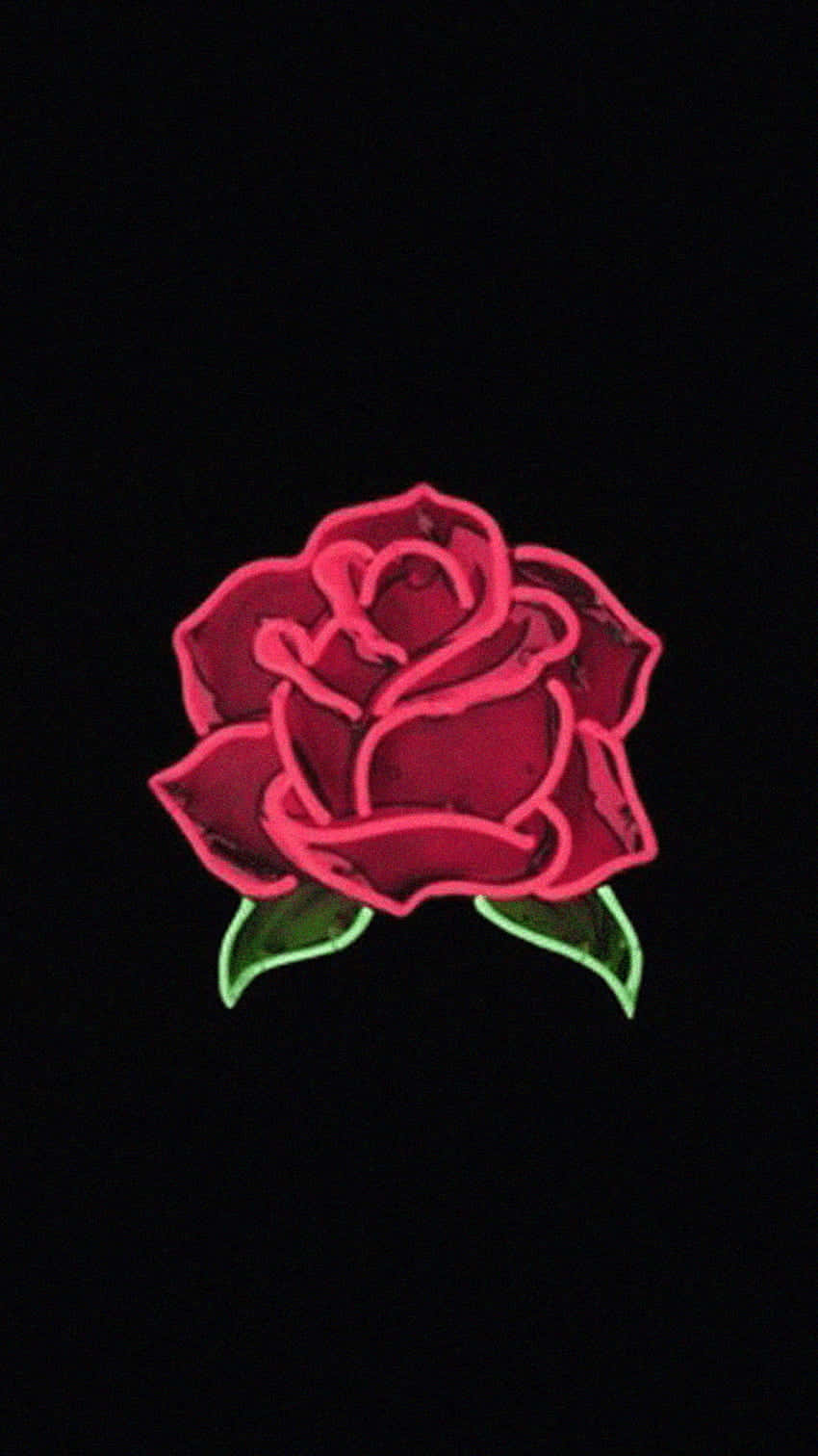 Unadelicadamente Hermosa Rosa Rosa. Fondo de pantalla