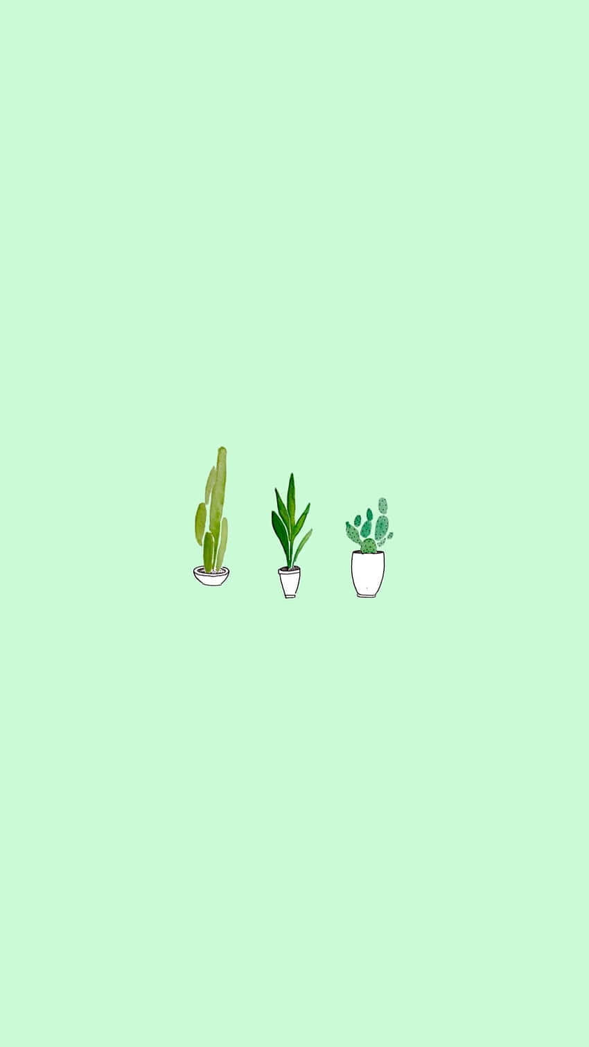 Niedlichersalbeigrüner Kaktus Und Zwei Zimmerpflanzen. Wallpaper