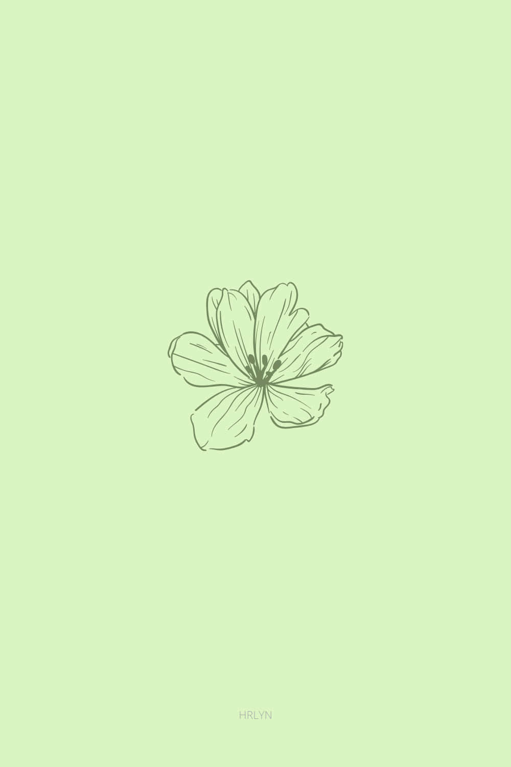 Niedlichesalbeigrüne Blume, Gezeichnet In Der Mitte. Wallpaper