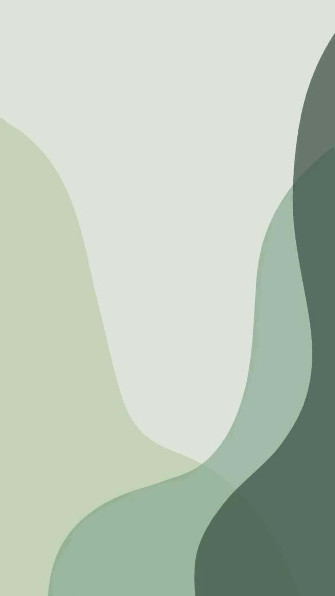 Lindasformas Curvadas De Tono Verde Salvia Transparente. Fondo de pantalla